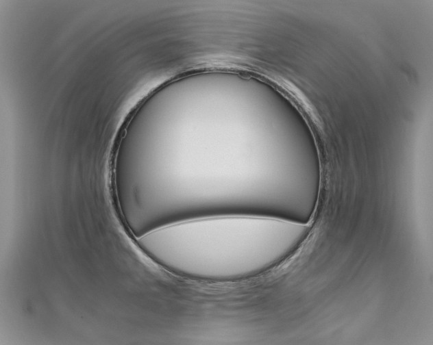 X0000111431285200907131033