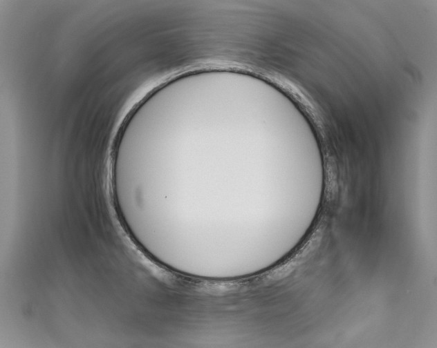 X0000111431286200907131033