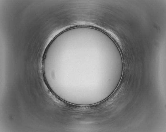 X0000111431287200907131033