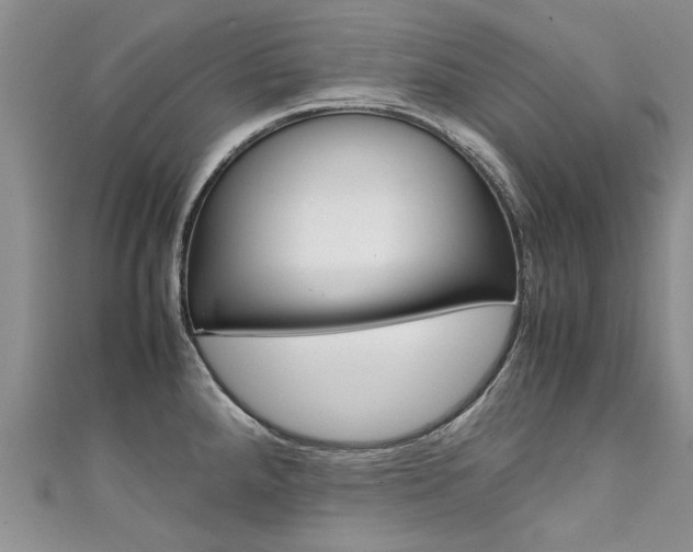 X0000111431288200907131033