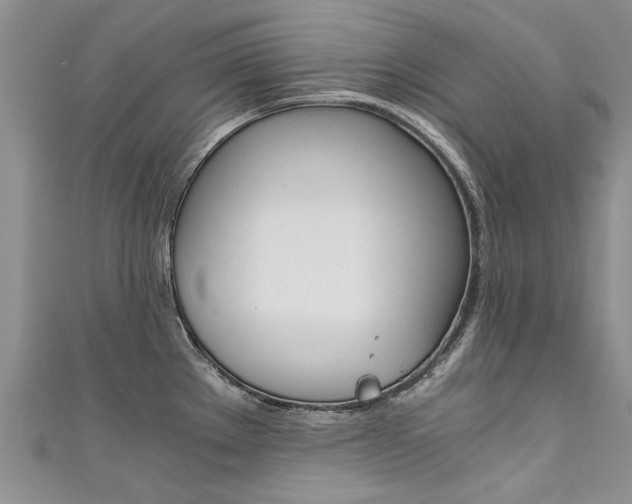 X0000111431289200907131033