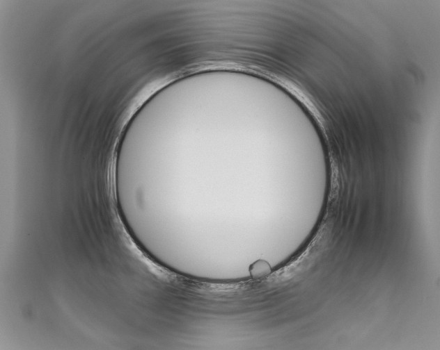 X0000111431290200907131033