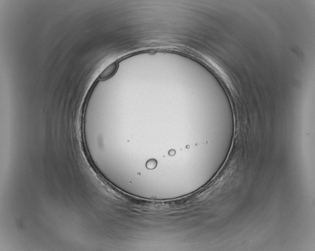 X0000111431291200907131033