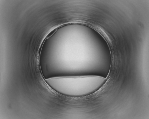 X0000111431292200907131033