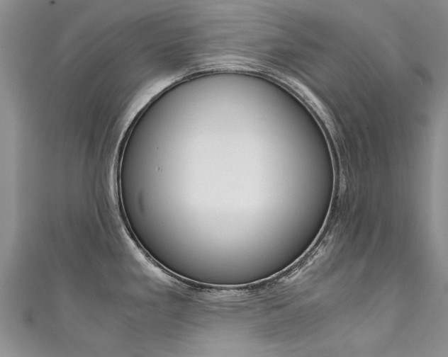 X0000111431293200907131033