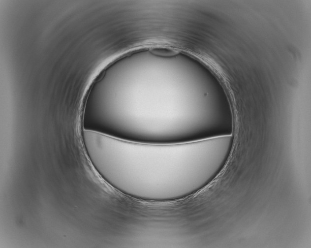 X0000111431296200907131033