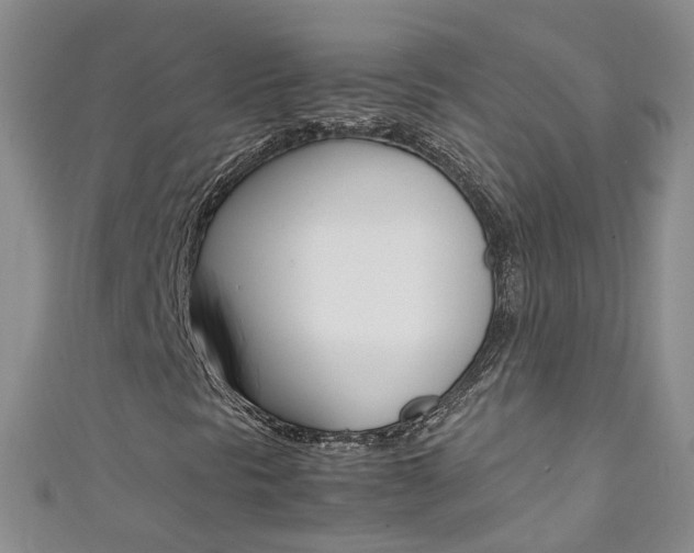 X0000111431297200907131032