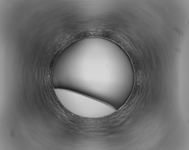 X0000111431298200907131032