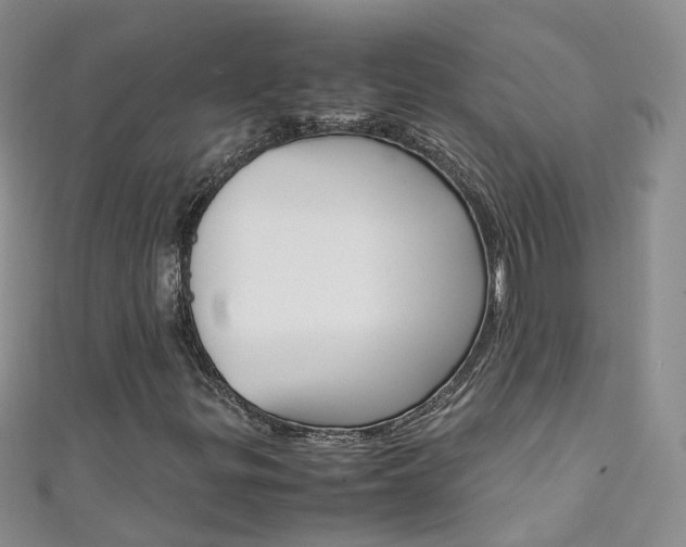X0000111431299200907131032