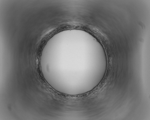 X0000111431302200907131032