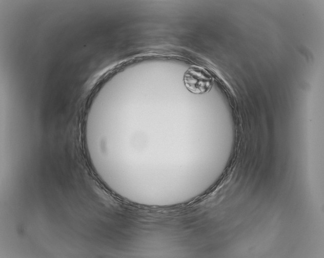 X0000111431304200907131032