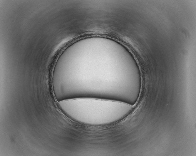 X0000111431307200907131032