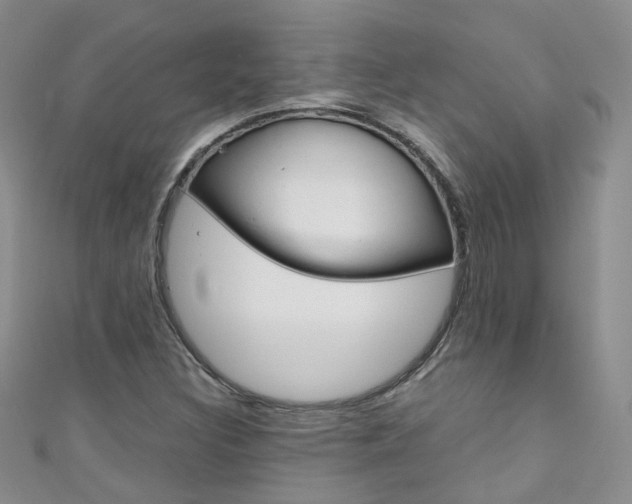 X0000111431308200907131032