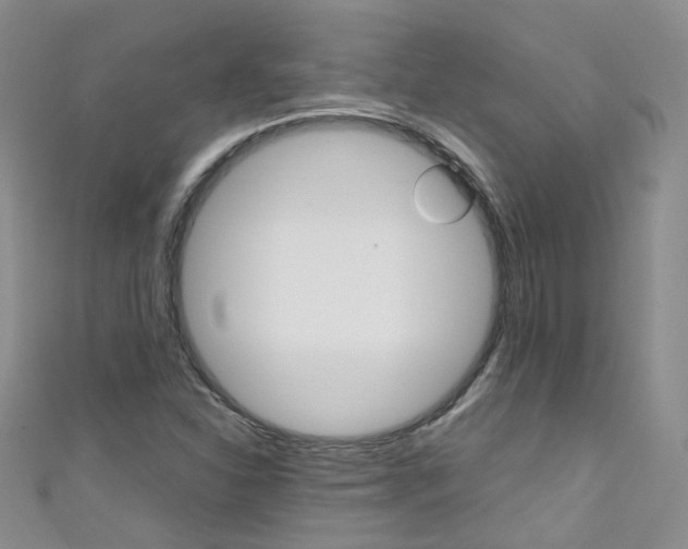 X0000111431310200907131032