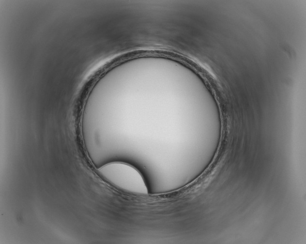X0000111431311200907131032