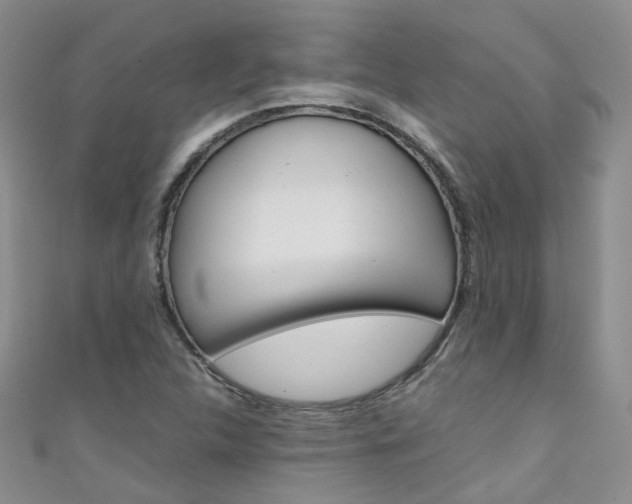 X0000111431312200907131032