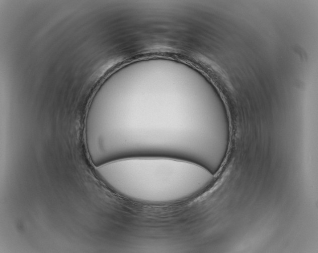 X0000111431313200907131032