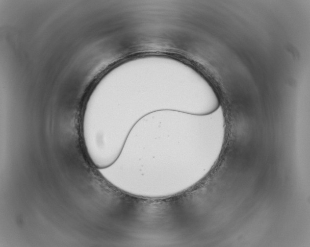 X0000111431314200907131032