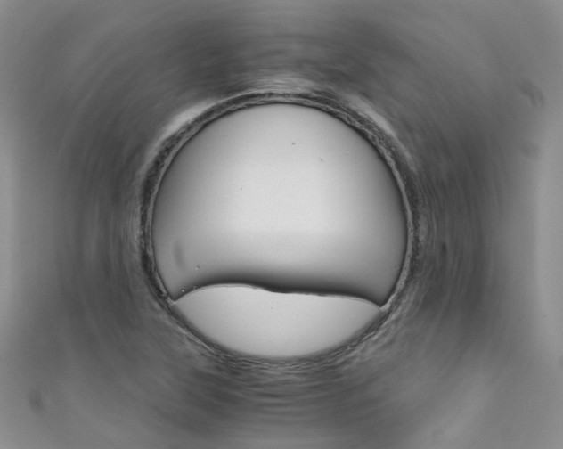 X0000111431315200907131032