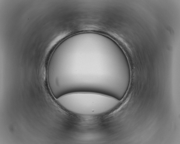 X0000111431317200907131032