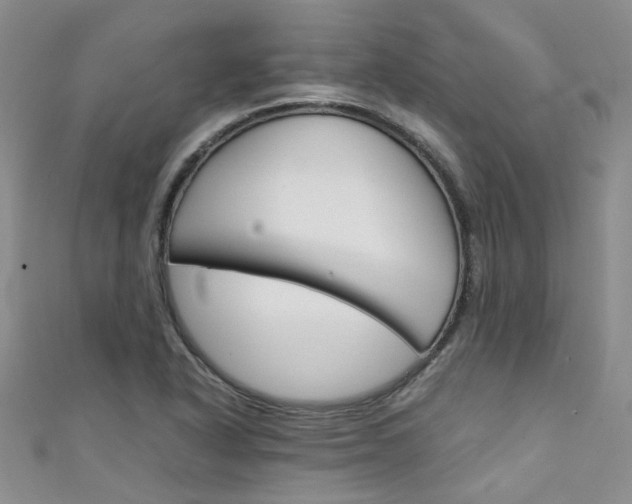 X0000111431318200907131032