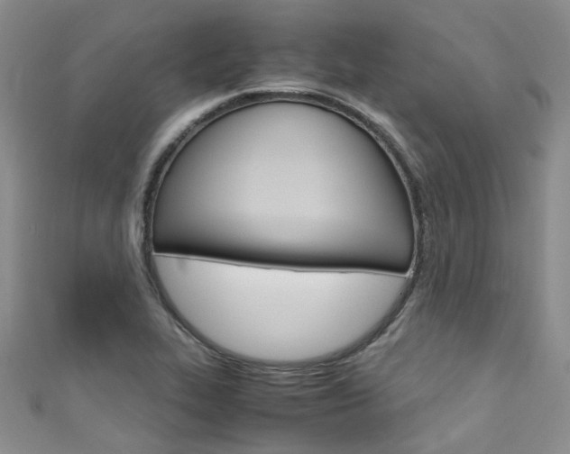 X0000111431319200907131032