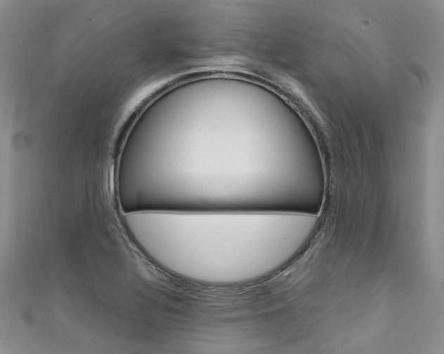 X0000111431320200907131032