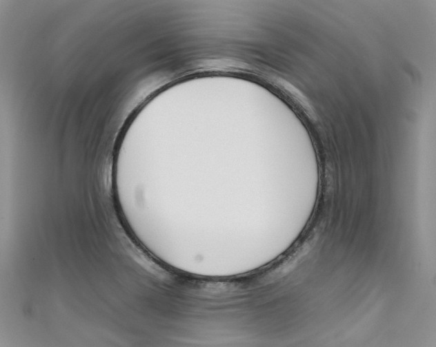 X0000111431322200907131032