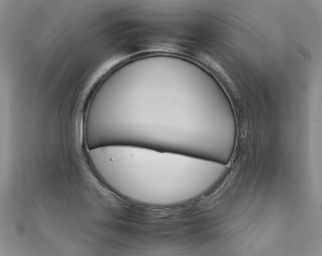X0000111431323200907131032