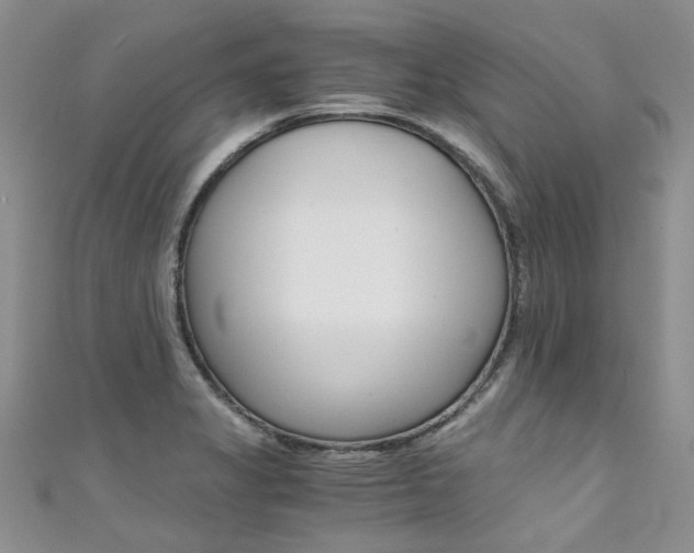 X0000111431325200907131032