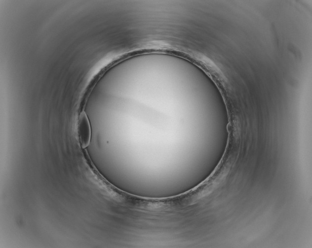 X0000111431326200907131032