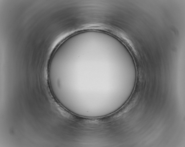 X0000111431328200907131032