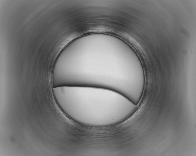 X0000111431329200907131032