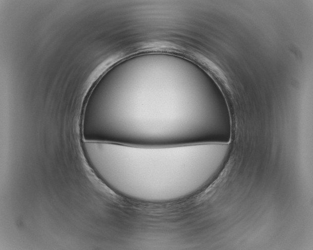 X0000111431330200907131032