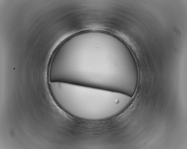 X0000111431331200907131032