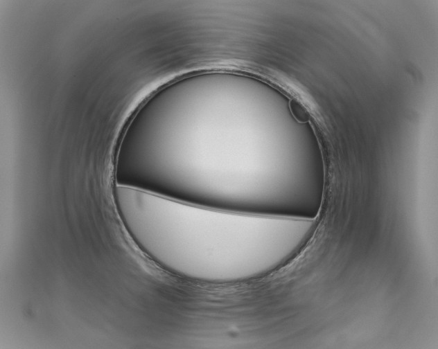 X0000111431332200907131032