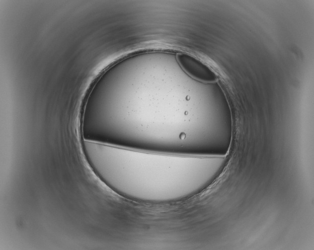 X0000111431334200907131032