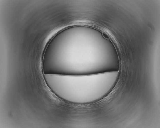 X0000111431336200907131032
