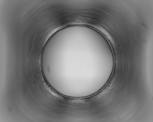 X0000111431337200907131032