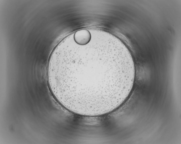 X0000111431338200907131033