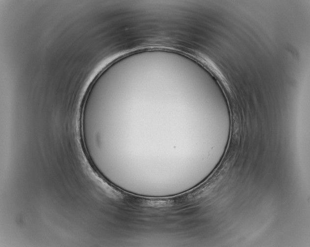 X0000111431339200907131033