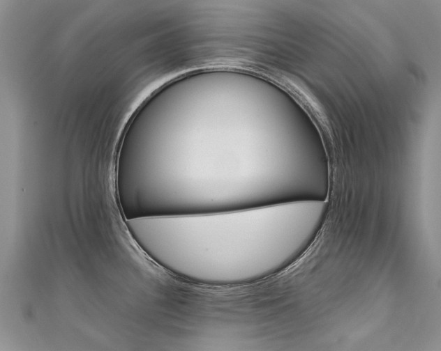 X0000111431340200907131033
