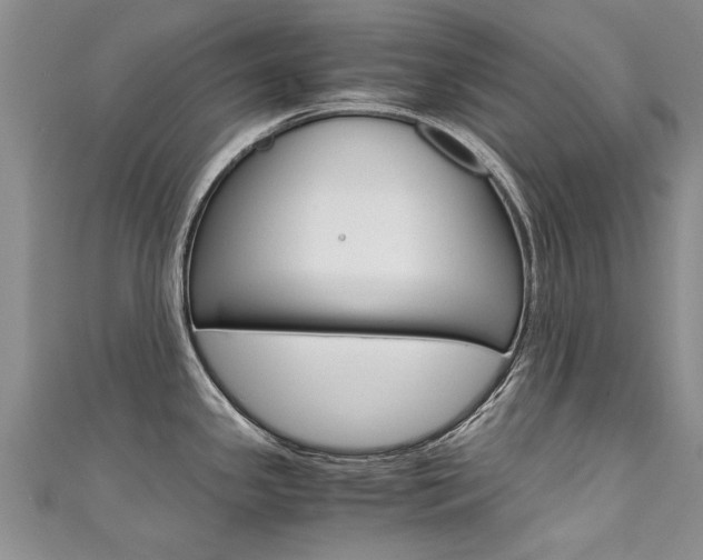 X0000111431341200907131033