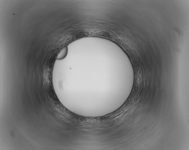 X0000111431346200907131032