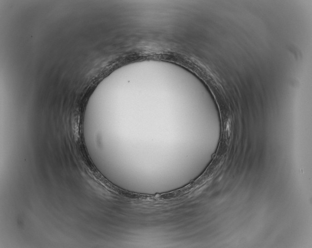 X0000111431348200907131032