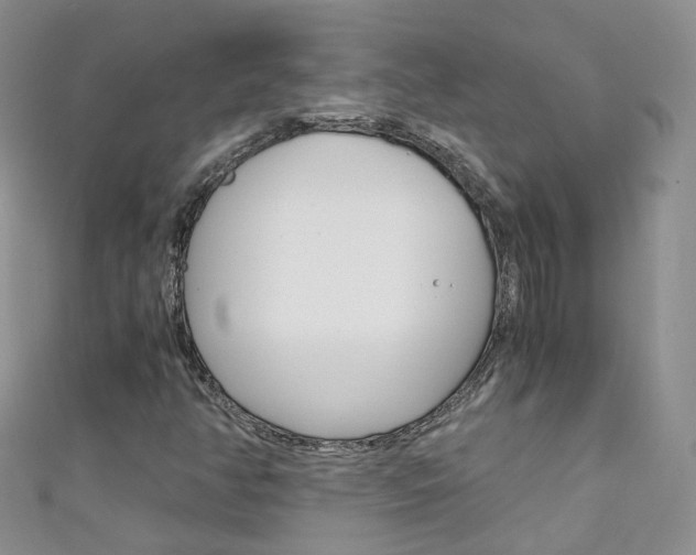 X0000111431350200907131032