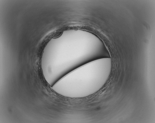 X0000111431351200907131032