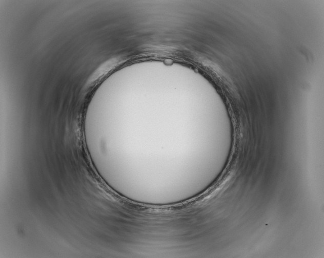 X0000111431354200907131032