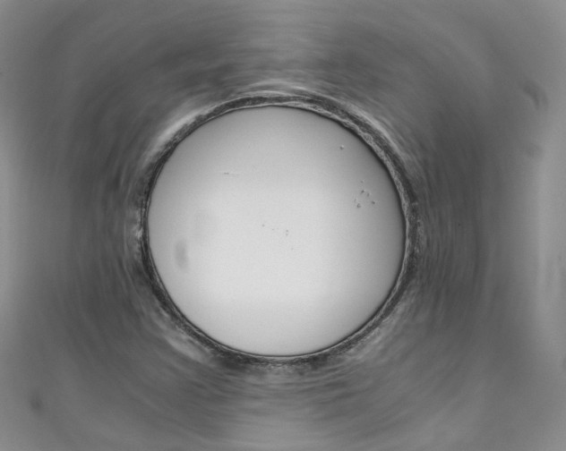 X0000111431355200907131032