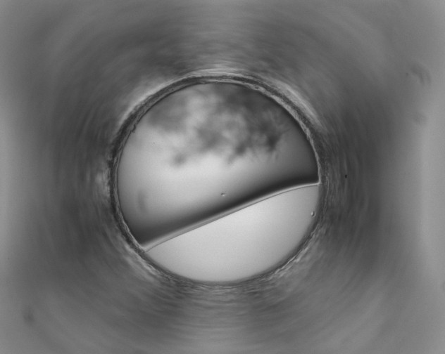 X0000111431356200907131032